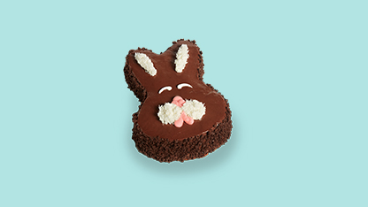 Chocolate bunny cake with eyes and ears.